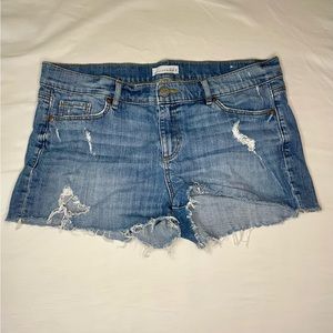 Loft denium shorts